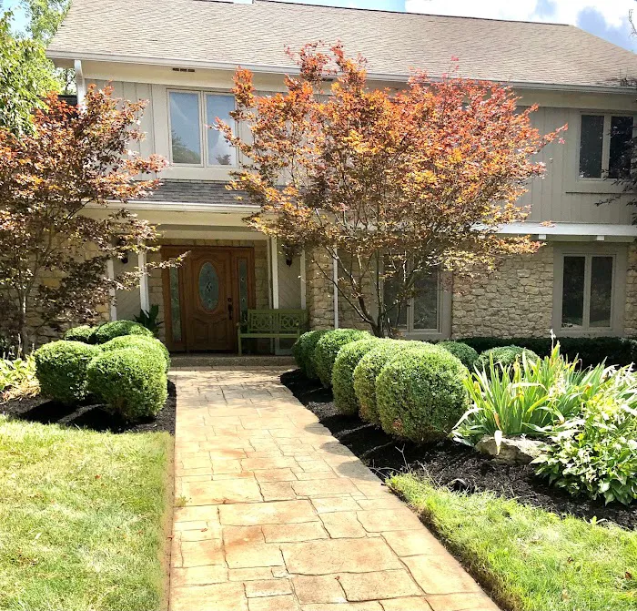 Munguia’s Tree Services & Landscaping Picture 2