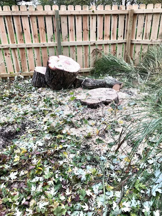 Munguia’s Tree Services & Landscaping Picture 10