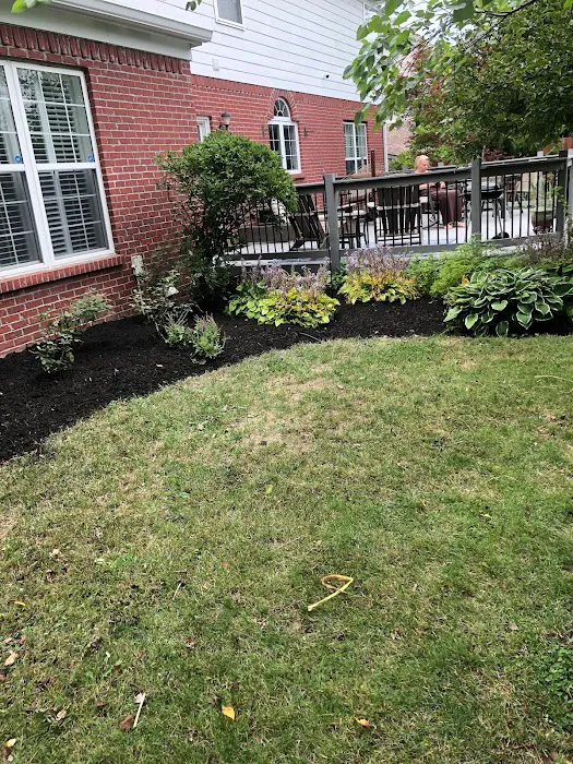 Munguia’s Tree Services & Landscaping Picture 4