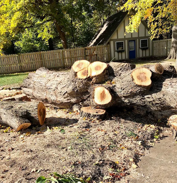 Munguia’s Tree Services & Landscaping Picture 5