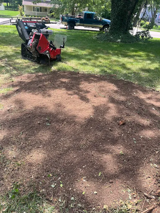 Munguia’s Tree Services & Landscaping Picture 7