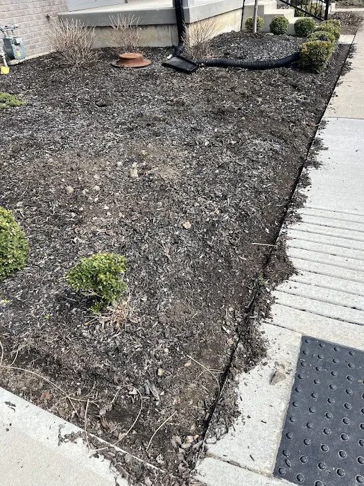 Munguia’s Tree Services & Landscaping Picture 8