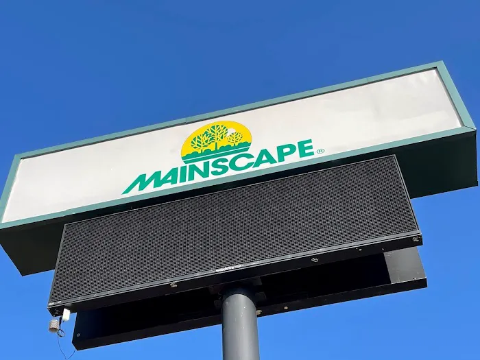 Mainscape Picture 4