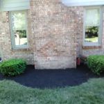 Natures Touch Landscape And More