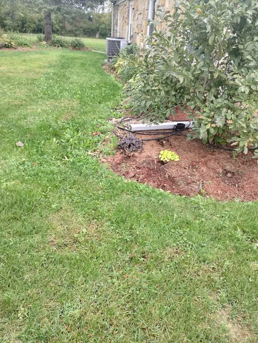 Sam Landscaping Company LLC Picture 2