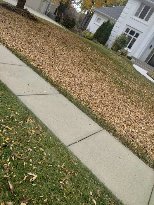 Sam Landscaping Company LLC Picture 4