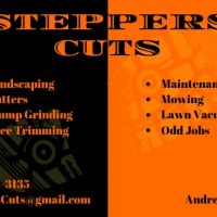 Steppers Cuts ico