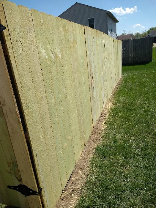 Steppers Cuts Picture 5