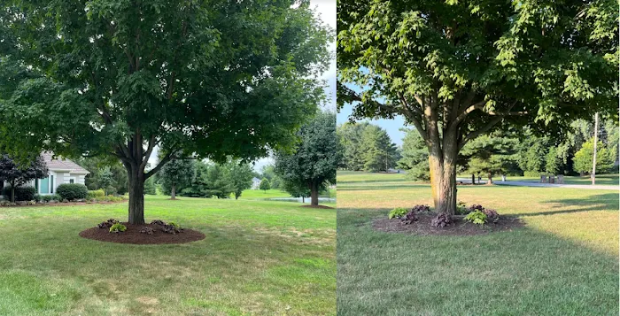 Solid Ground Solutions LLC Picture 5