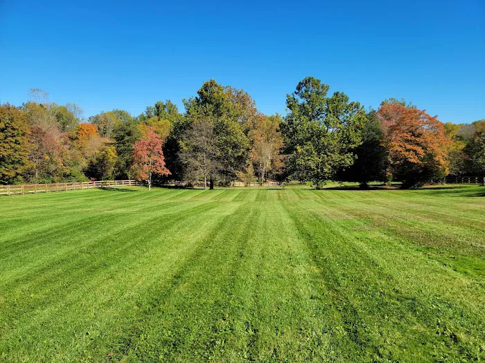 Leaf Hawk Lawncare & Landscaping Picture 10