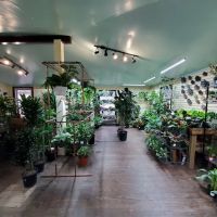 Rosie's Gardens and Hughes Landscape ico