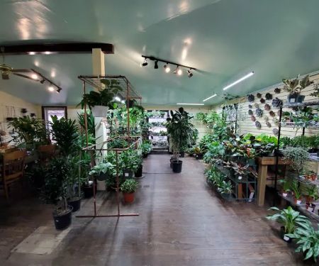 Rosie's Gardens and Hughes Landscape