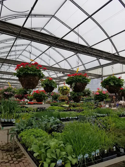 Rosie's Gardens and Hughes Landscape Picture 6