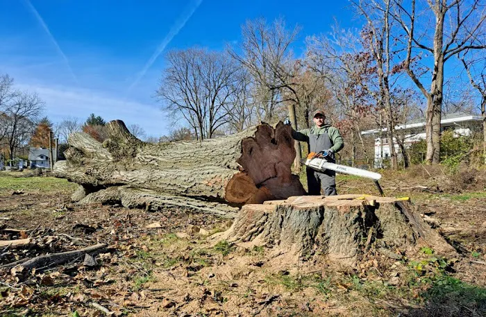 Dubina Landscaping Llc Picture 10