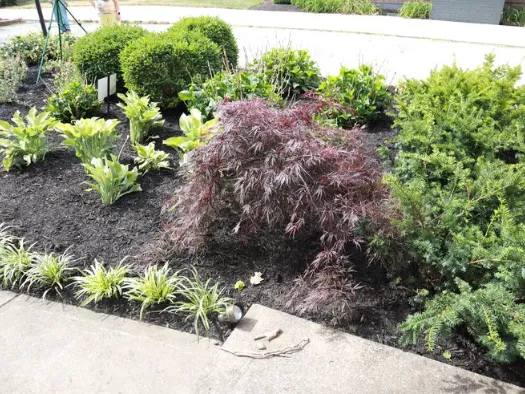 Dubina Landscaping Llc Picture 5