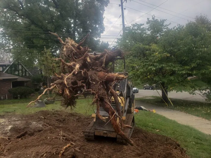 Dubina Landscaping Llc Picture 9