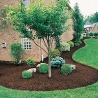 GreenImage Landscape & Design LLC ico