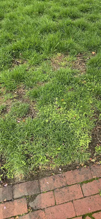 GreenImage Landscape & Design LLC Picture 9
