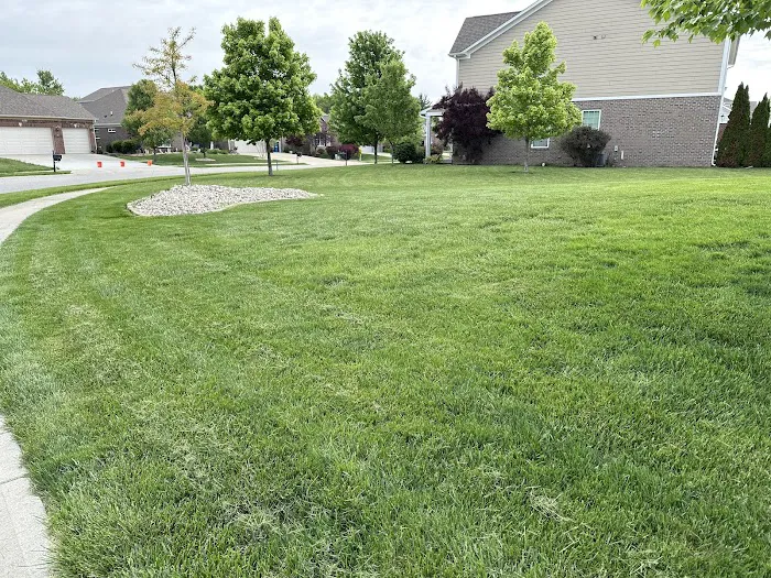 Certified Lawns Picture 3