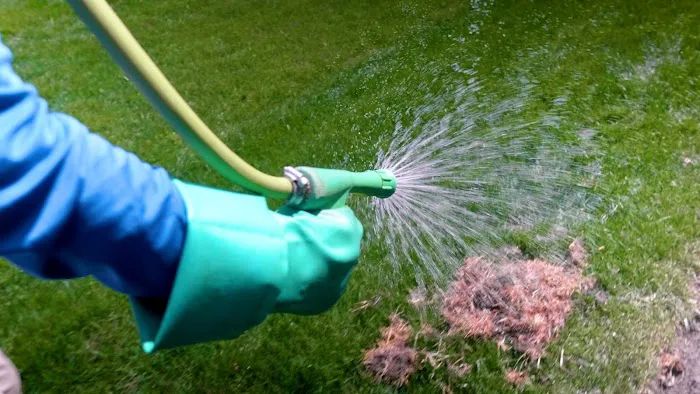 Certified Lawns Picture 7