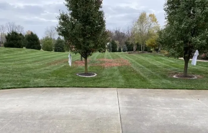 All Pro Landscaping Picture 8