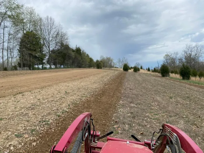 Ginger Acres Tractor Services Picture 6