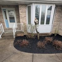 Billy Goat Lawn Service ico
