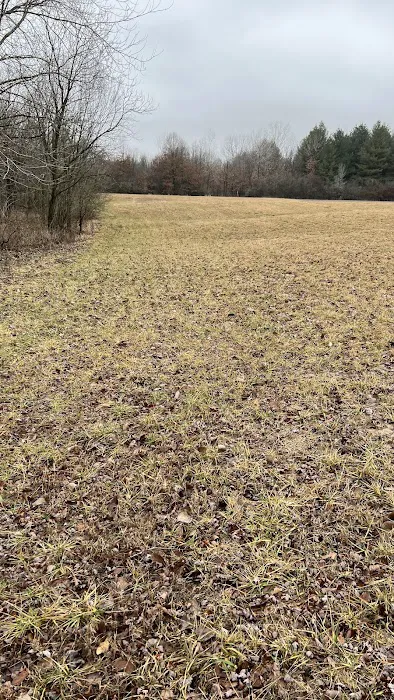Miller Land Solutions Picture 6