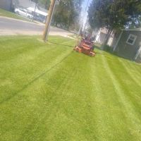 Quality Lawns LLC ico