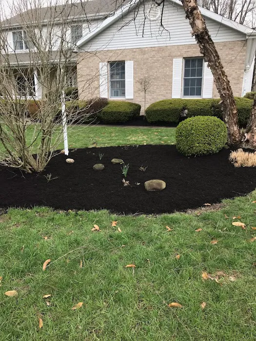 MowCo Lawn Care Picture 9