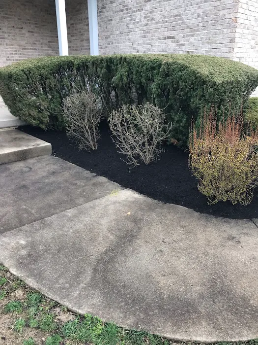 MowCo Lawn Care Picture 5