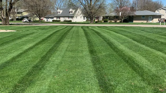 MowCo Lawn Care Picture 3