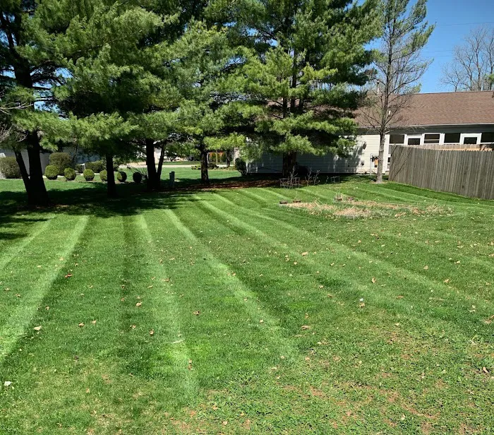 MowCo Lawn Care Picture 6