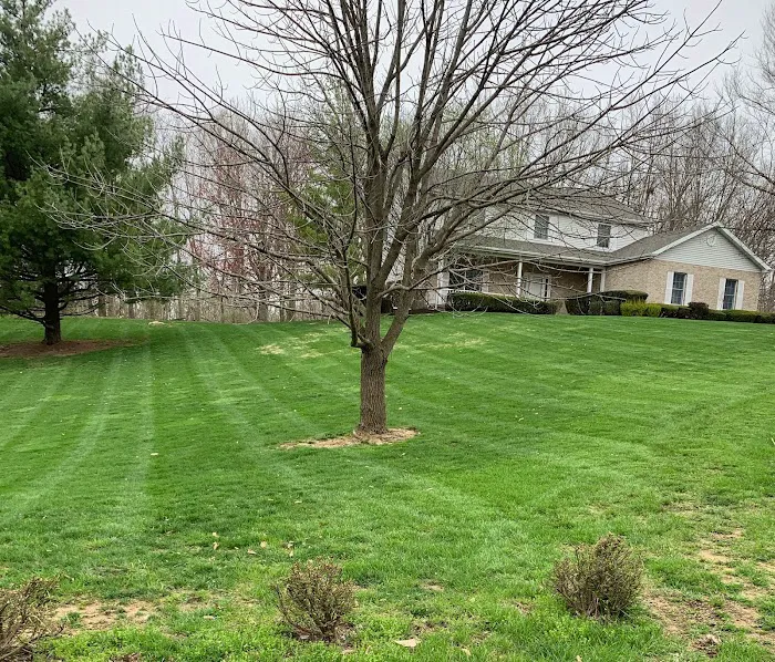 MowCo Lawn Care Picture 4