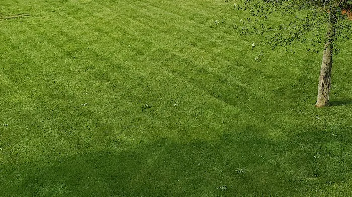 Premier Lawn Inc. Picture 2