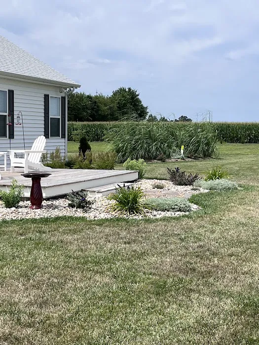 Maxedon Landscaping Picture 4