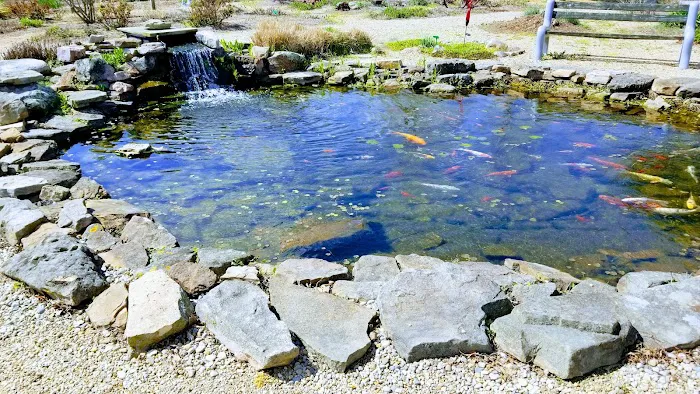Alwerdt's Gardens LLC Picture 4