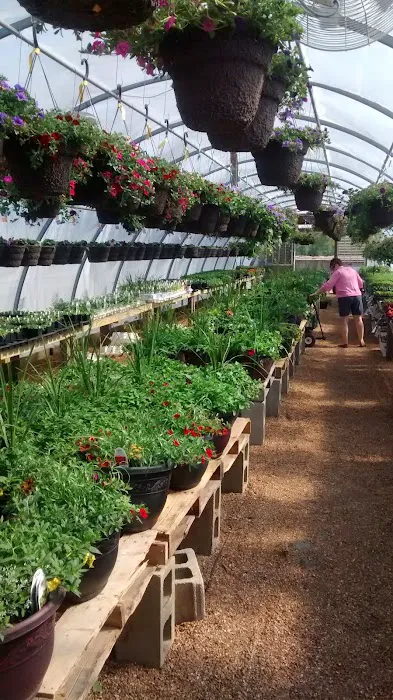 Alwerdt's Gardens LLC Picture 5