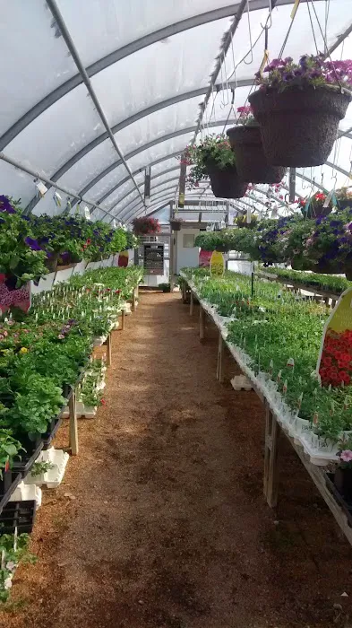 Alwerdt's Gardens LLC Picture 2