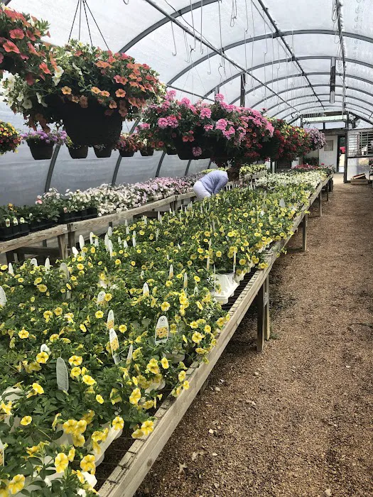 Alwerdt's Gardens LLC Picture 10
