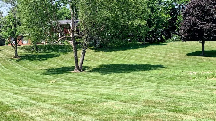 Wicker’s Property Services, LLC Picture 3