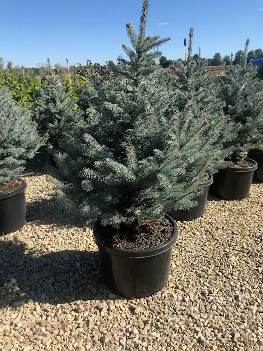 Brescher Landscaping And Nursery Picture 10