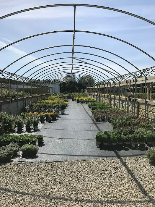Brescher Landscaping And Nursery Picture 2