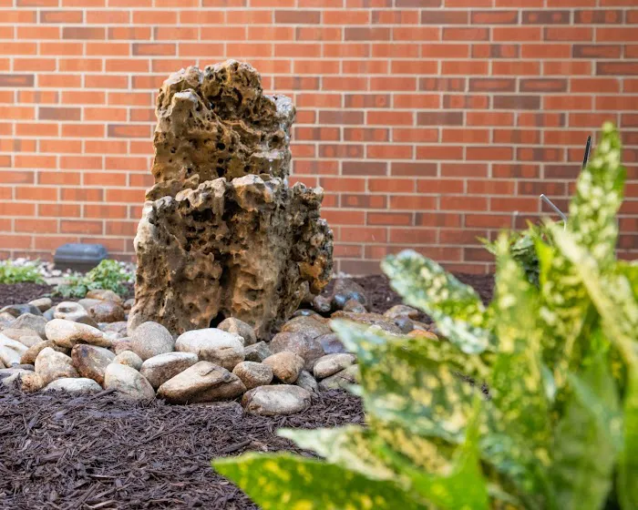 Second Nature Landscape Management, Inc Picture 4