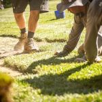 Second Nature Landscape Management, Inc
