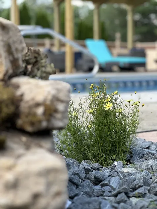 VanBeck Stocker's Landscaping and Lawn Care Picture 4