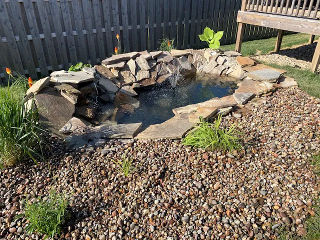 Land Design Landscaping Picture 7