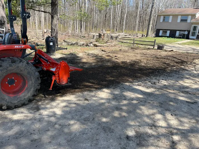 salazar landscaping llc Picture 4