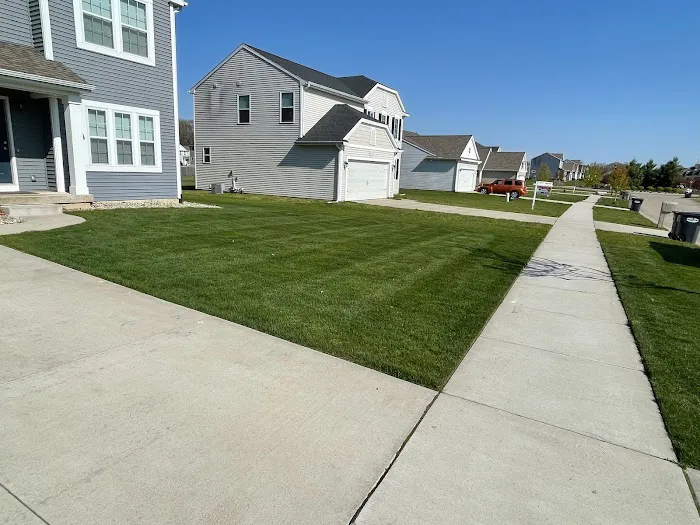 salazar landscaping llc Picture 9