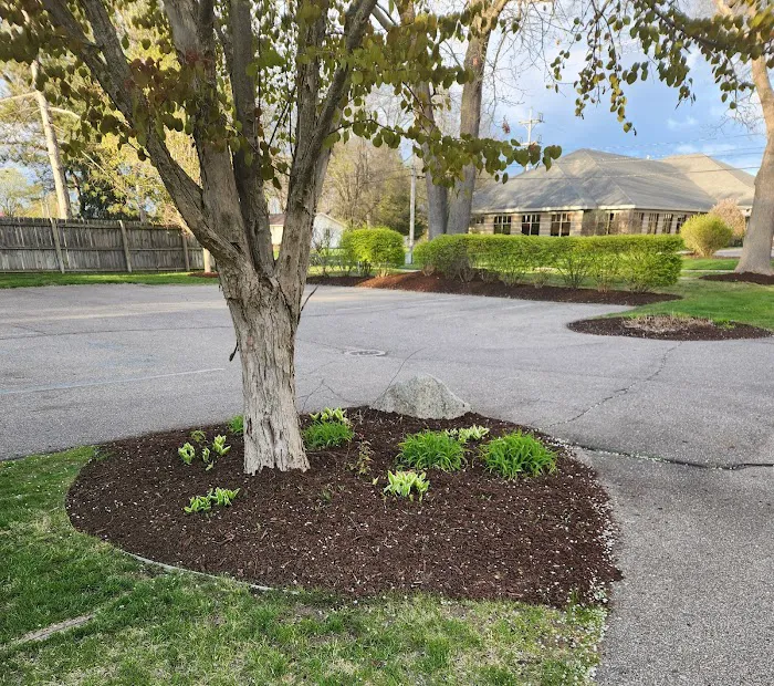 S & T Lawn Services Inc Picture 7